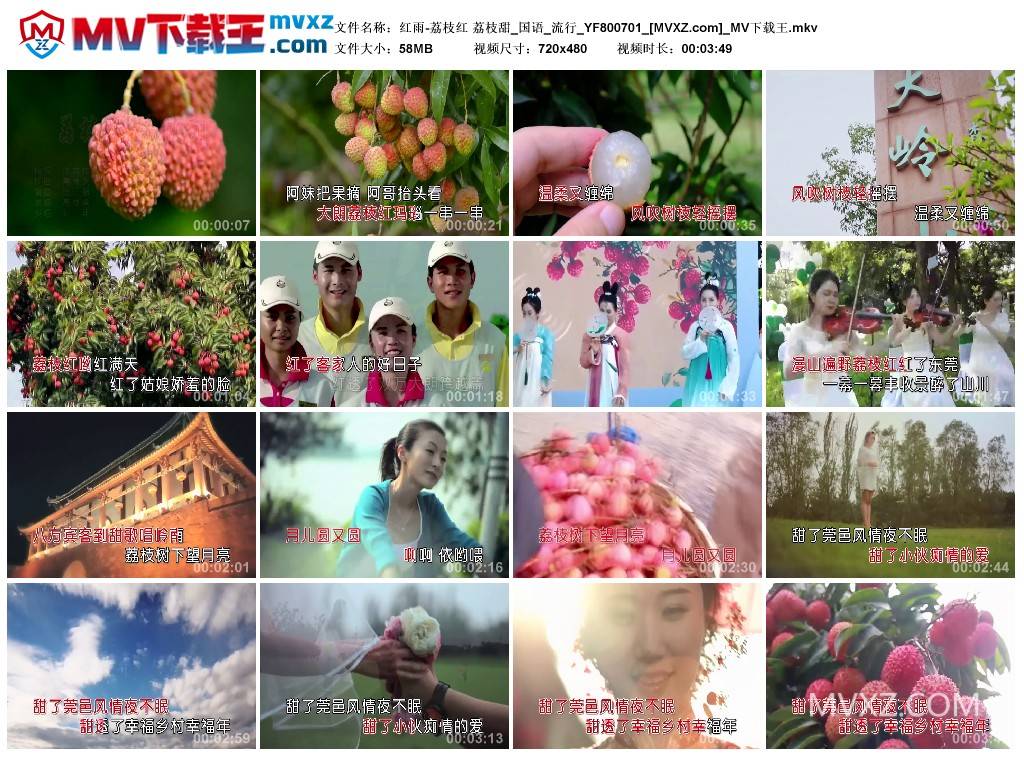 红雨-荔枝红 荔枝甜_国语_流行_YF800701